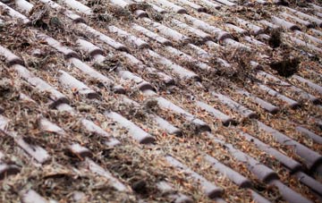 Frenches Green roof cleaning companies