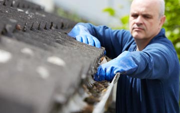 cleaning and inspecting Frenches Green roofs